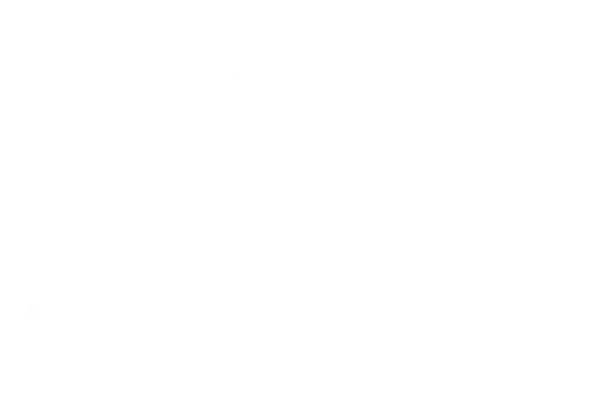 Promelec Logo Blanco